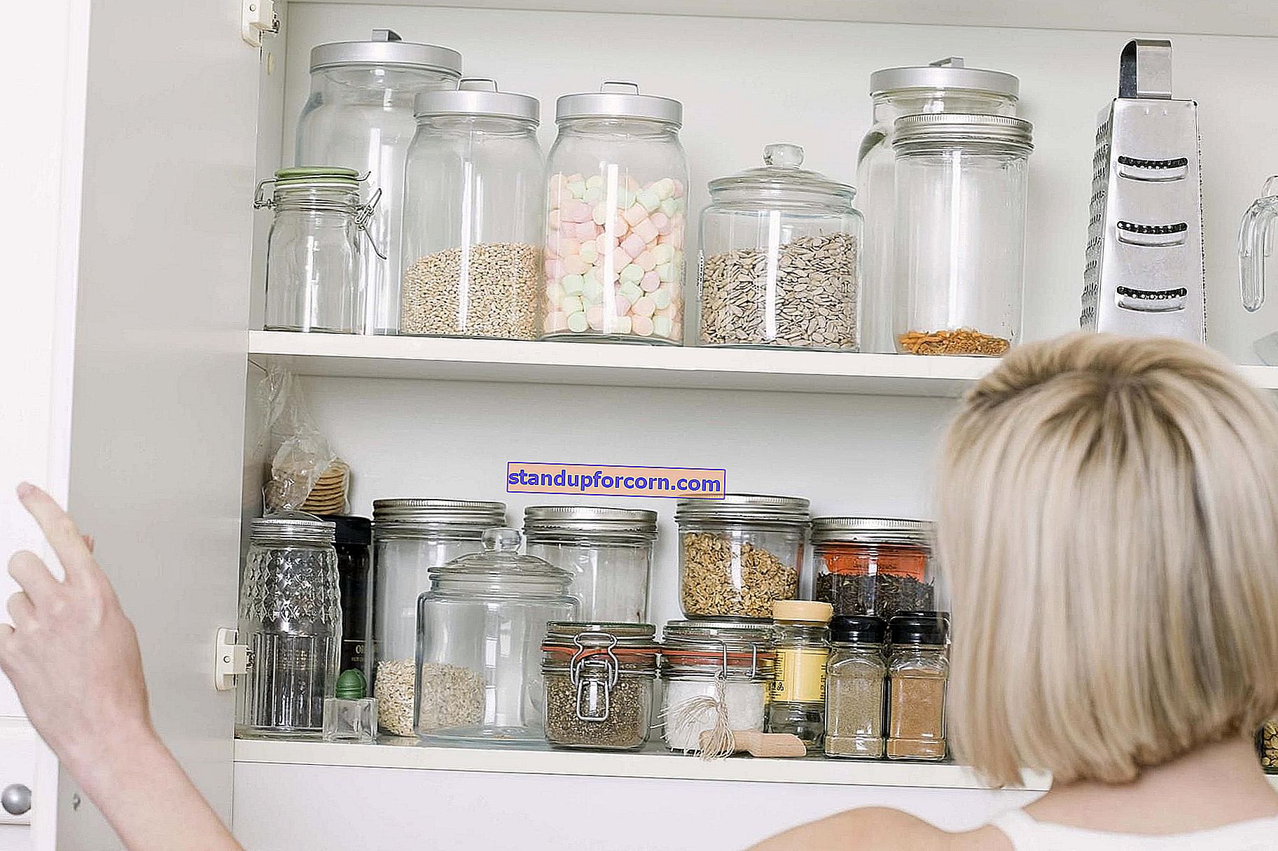 Kaip kovoti su kandimis namuose?