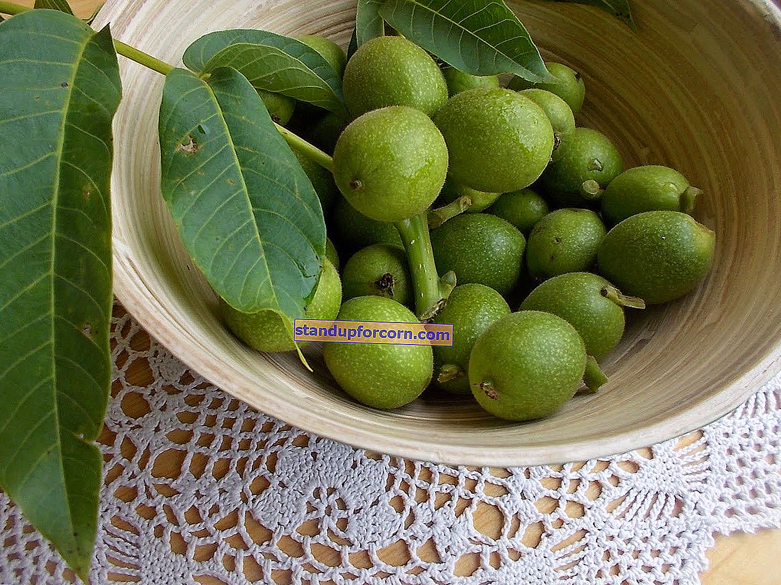 Vaismedžių purškimo sklype grafikas