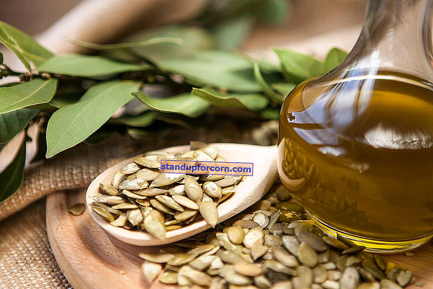 Skvošas - maistinės vertės, auginimas, geriausios veislės