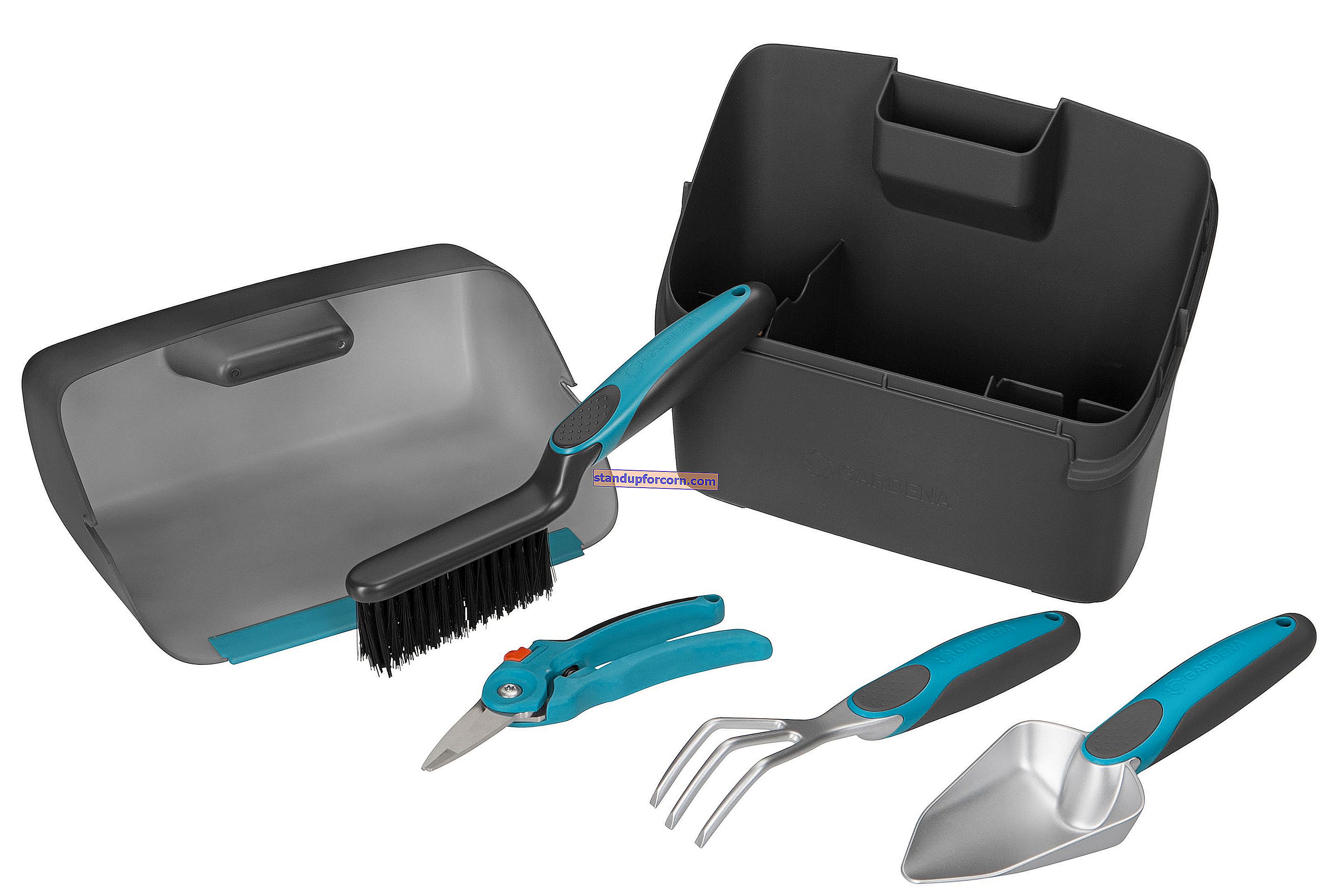 Fuksija - auginimas, priežiūra, žiemojimas