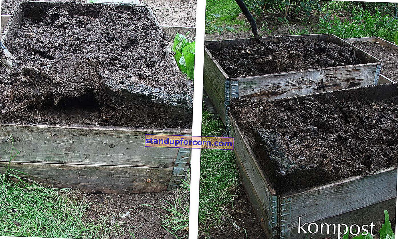 Kompostas - kas tai yra, kaip jį pasigaminti, pritaikymas
